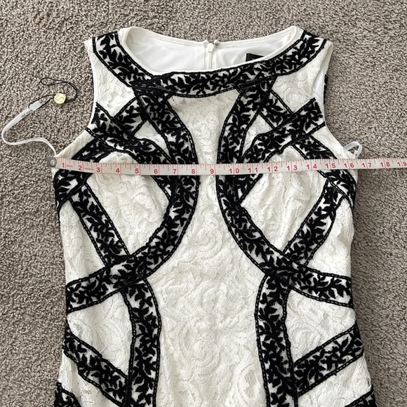 Tadashi Shoji Banded Contrast Color Block Black Ivory Lace Cocktail Dress - Picture 9 of 13